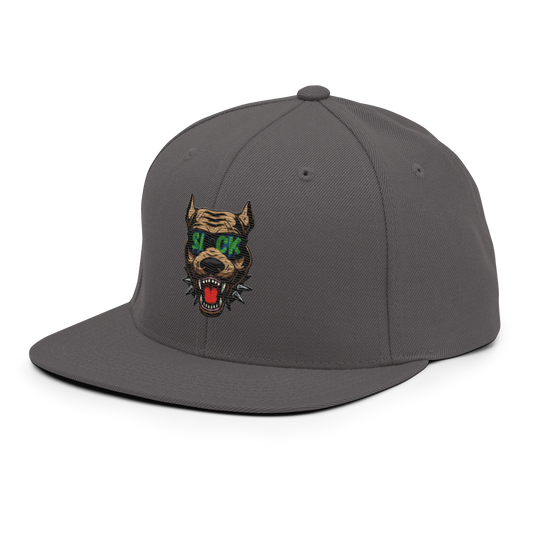 Snapback Hat
